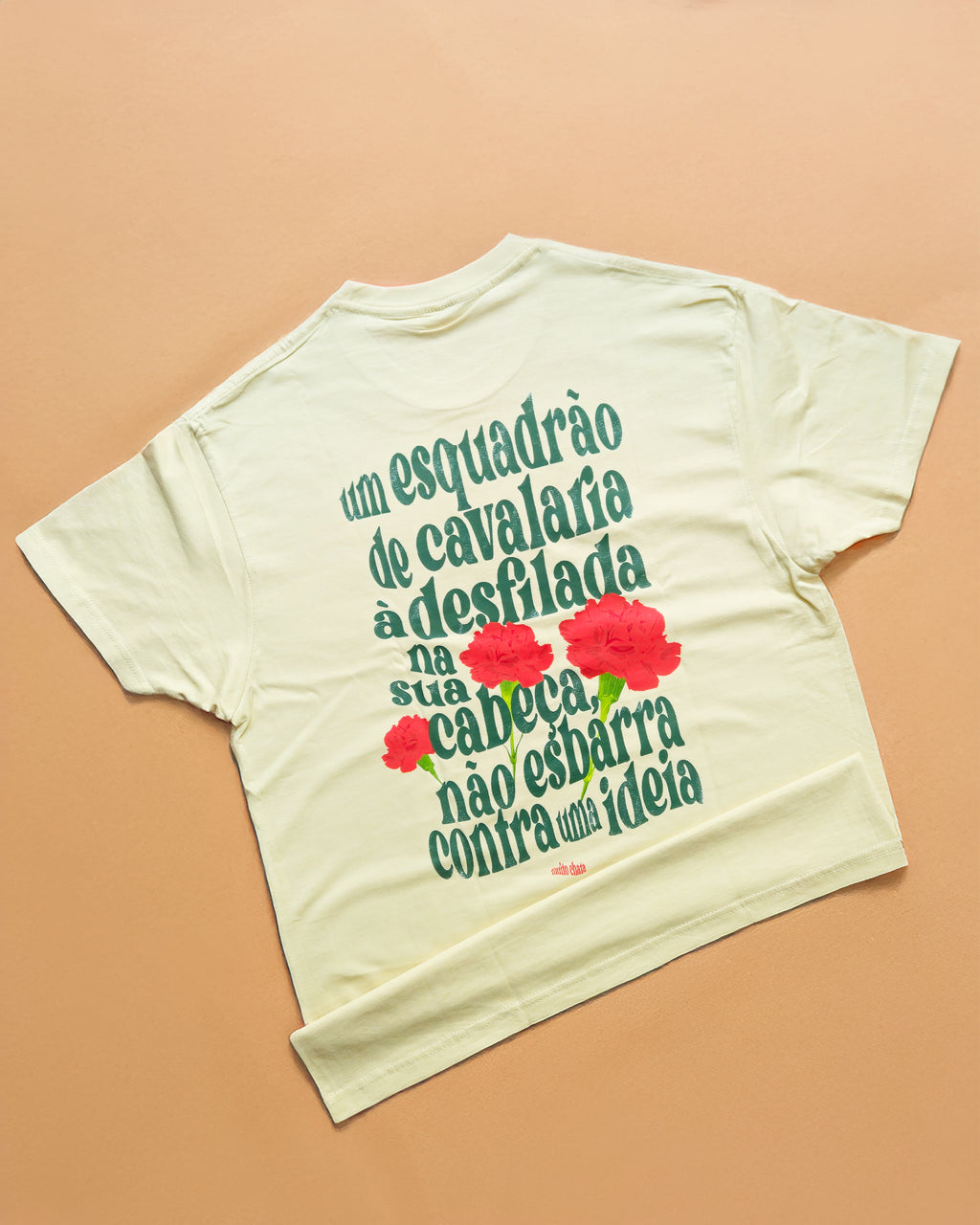 PRÉ-VENDA PACK são cravos, senhor totebag + t-shirt + brincos